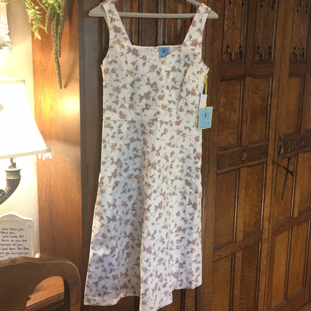 Cece Dress! Nwt!